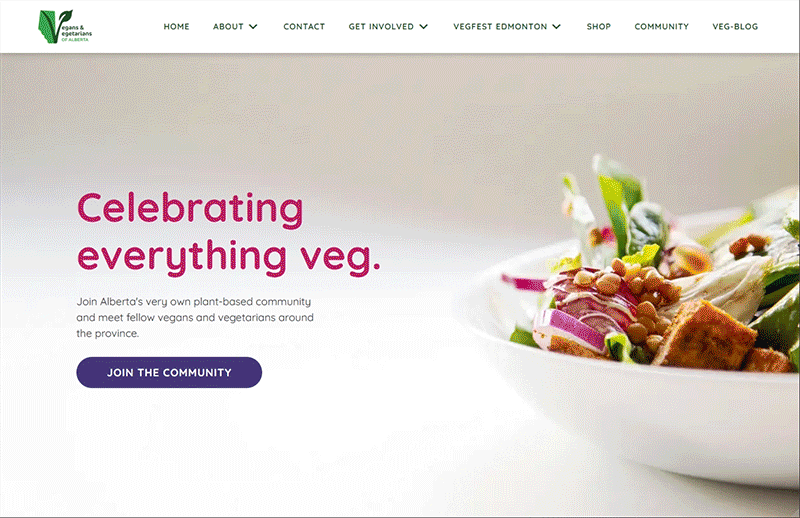 vvoa website page desktop